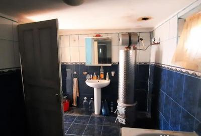 Casă cu 4 camere cu Teren 7720 Mp în Brătești - 16