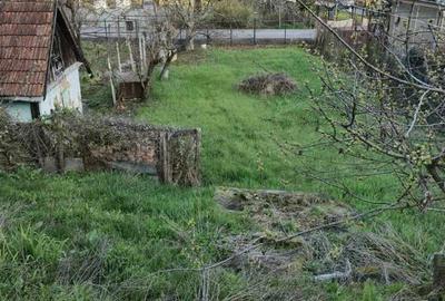 Teren de 719 mp, în Podgoria - 4