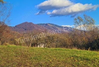 Teren de vanzare in comuna Arefu, jude? Arge?, in apropiere de Transfagara?an. - 7