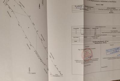 Spațiu comercial, în Chirițeni - 5