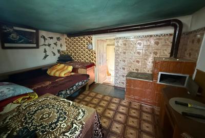 Casă cu 4 camere cu Teren 4382 Mp în Somova - 10