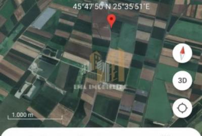 Teren de 14450 mp, în Feldioara