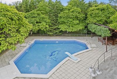 Casă individuală cu 10 camere cu Piscina în Iancu Nicolae - 4