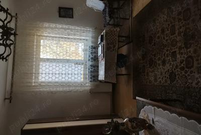 Casă cu 3 camere cu Teren 5700 Mp în Viile Satu Mare - 7