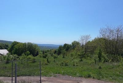 Teren de Vanzare â&#128;&#147; 850 mp | Petrarie â&#128;&#147; Burnova | Zona Verde, Investitie - 3