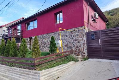 Vand casa in Cara? Severin Re?i?a - 4