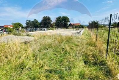 Teren 1,042mp Sarasau / Strada Sarasau - 3