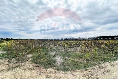 Teren 14.863mp, deschidere 42mp, acces 3 laturi - Ciorogarla, langa A0 - 3