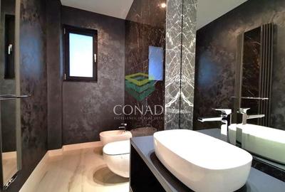 Baneasa- Iancu Nicolae, vila de inchiriat, 460 mp utili - 8