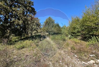 Teren intravilan Buru | ideal agrement, activita?i outdoor - 18