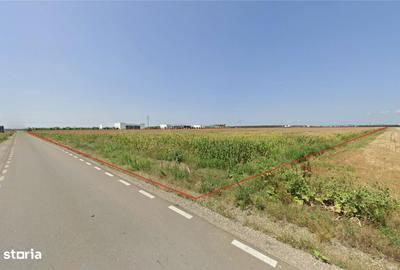 Teren de 500000 mp, în Ariceștii Rahtivani - 2