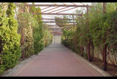Vila 20 Camere | Pantelimon - Cernica | 4141 mp Teren | Piscina - 6