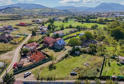 Teren Construcții intravilan de 1430 mp, în Cărpiniș - 11
