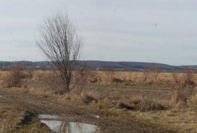 Teren agricol intravilan de 5037 mp, în Moșoaia - 1