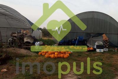 ? Teren intravilan in Jupani (Timis), 10,19 Euro/mp.? - 8