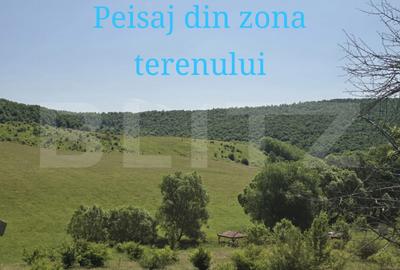 Teren de 1200 mp, în Sălicea - 3