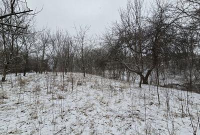 Casă și teren de vânzare în Colibași Dâmbovița Liniște Spațiu Natura - 4