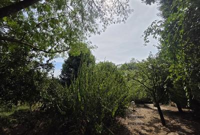 Snagov, Izvorani Vila, la lac - 2