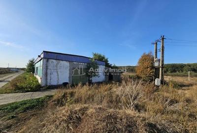 Hala industriala (1000 mp) si teren (4000 mp), Scornicesti, - 9