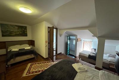 Inchiriere pensiune | Baneasa - Phoenicia | - 15