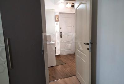 Apartament cu 2 camere decomandat, mobilat în Giurgiului - 15