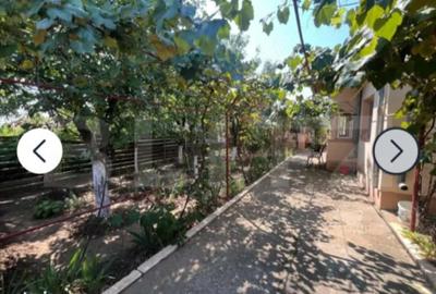 Casă cu 2 camere cu Teren 1087 Mp în Cârcea - 3