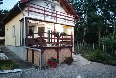 Casă cu 4 camere cu Teren 1200 Mp în Săldăbagiu de Munte - 14