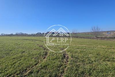 Teren Construcții intravilan de 646 mp, în Dascălu - 5