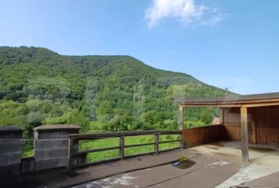 Casă cu 7 camere cu Teren 5000 Mp în Surduc - 3