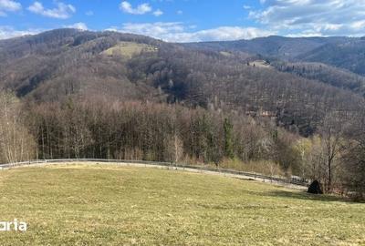 Teren de 4000 mp, în Bulz