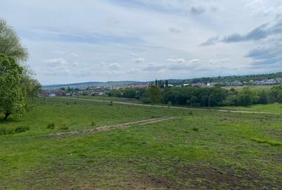 Teren Construcții intravilan de 3738 mp, în Cisnădioara - 5