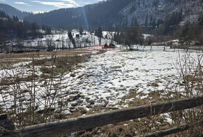 Teren Construcții intravilan de 3486 mp, în Iacobeni - 2