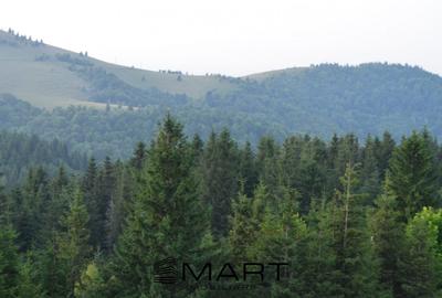 Casa individuala cu teren zona Paltinis Casa individuala cu teren zona Paltinis - 8