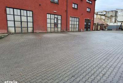 Spațiu comercial, de 400 mp, în Valea Borcutului - 8