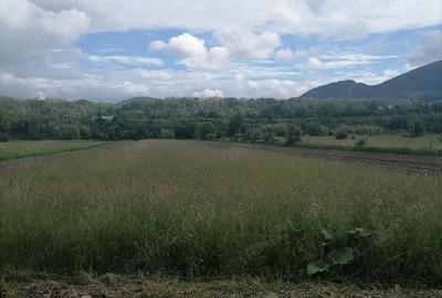 Teren de 3000 mp, în Central - 6