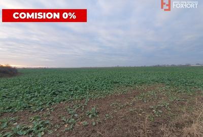 COMISION 0% Teren extravilan agricol 10.000 mp la sosea in Sag - 6