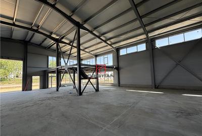 Depozit/hala/spatiu industrial Theodor Pallady - Drumul Int - 3