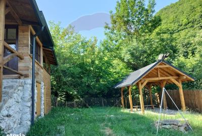 Casă cu 2 camere cu Teren 645 Mp în Sălciua - 11