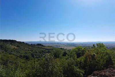 Teren de 9461 mp, în Podgoria