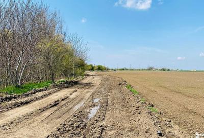 Spațiu comercial, în Central - 3