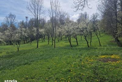 Teren de 12000 mp, în Ghioșești - 16