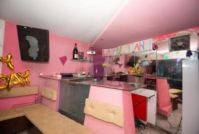 Casa 9 camere de vanzare 1200mp teren Cornetu Padure Lac Mihailesti - 24