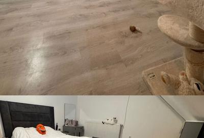 Apartament cu 2 camere semidecomandat în Găvana - 4