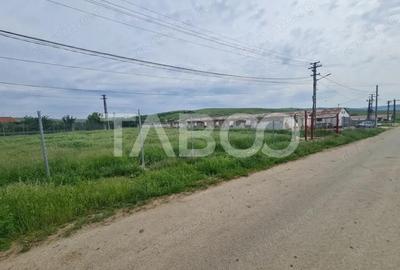 Hala in constructie cu teren intravilan de vanzare in Cut judetul Alba - 4