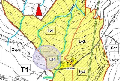 Teren in Padureni - Chinteni, 5800 mp, intravilan, Lv1 - viitoare constructii - 2