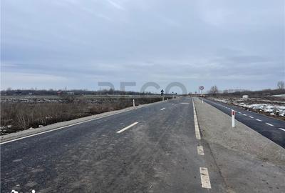 Teren de 30000 mp, în Biharia - 4