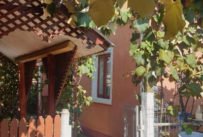 Casă cu 3 camere cu Teren 1600 Mp în Ionești - 13