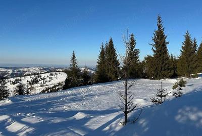 Teren de 700 mp, în Măguri - 3
