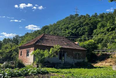 Casa de vanzare comuna Burjuc - 4