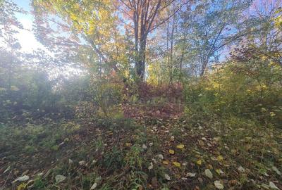 Teren intravilan de vanzare in Telega - 14